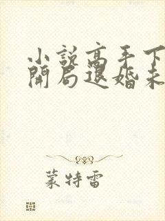 小说高手下山:开局退婚未婚妻下载