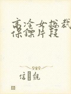 高冷女总裁面试保镖片段