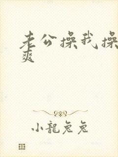 老公操我操的好爽封面