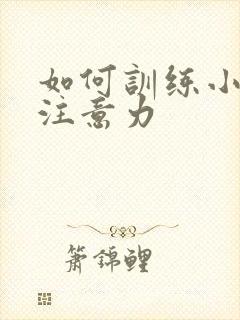 如何训练小孩的注意力