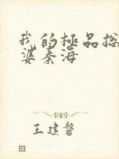 我的极品总裁老婆秦海