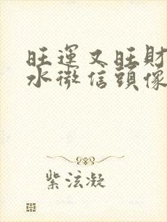 旺运又旺财的山水微信头像