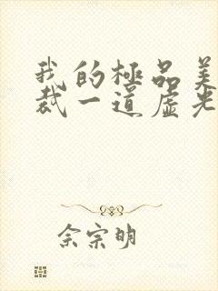 我的极品美女总裁一道虚光封面