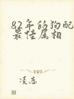 82年的狗配偶最佳属相封面