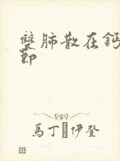 双肺散在钙化结节