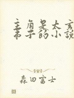 主角是太玄宗大弟子的小说