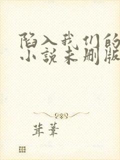 陷入我们的热恋小说未删版下载txt