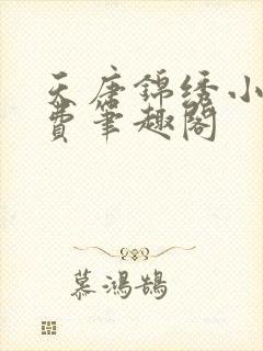 天唐锦绣小说免费笔趣阁封面