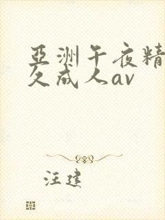 亚洲午夜精品久久成人av