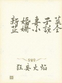 新婚妻子菜老板芷姗小说全集