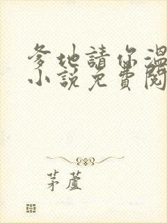 爹地请你温柔点小说免费阅读封面