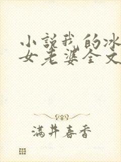 小说我的冰山美女老婆全文阅读