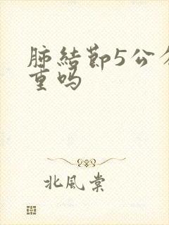 肺结节5公分严重吗