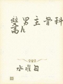 双男主骨科年下高h封面