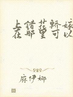 上错花轿嫁对郎在哪里可以看封面