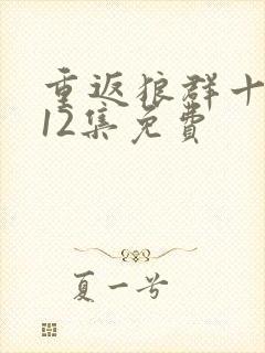 重返狼群十周年12集免费