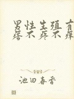 男性生殖有小疙瘩不疼不痒是怎么回事