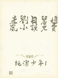 老刘日儿媳妇张岚小说免费阅读