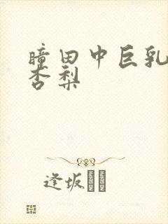 瞳田中巨乳冲田杏梨封面