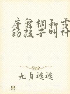 唐舞桐和霍雨浩的孩子叫什么封面