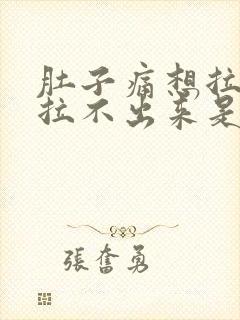 肚子痛想拉屎又拉不出来是什么原因