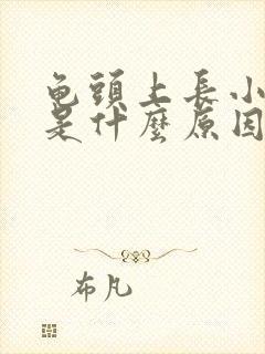 龟头上长小疙瘩是什么原因不痛不痒