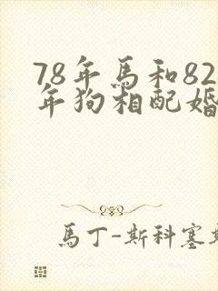 78年马和82年狗相配婚姻如何
