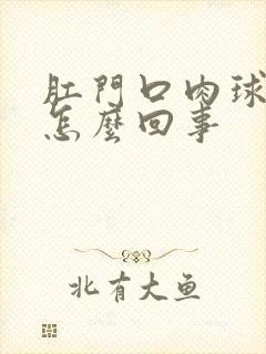 肛门口肉球出血怎么回事