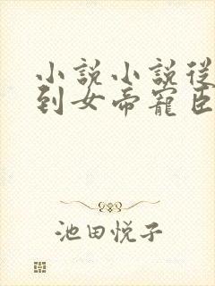 小说小说从赘婿到女帝宠臣封面