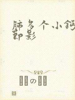 肺多个小钙化结节影