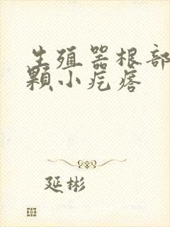 生殖器根部有一颗小疙瘩