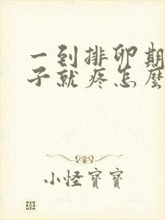 一到排卵期小肚子就疼怎么回事