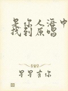 是你人海中把我找到原唱