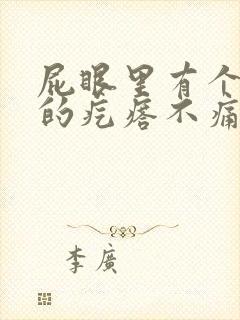 屁眼里有个硬硬的疙瘩不痛不痒封面