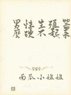 男性生殖器为什么硬不起来