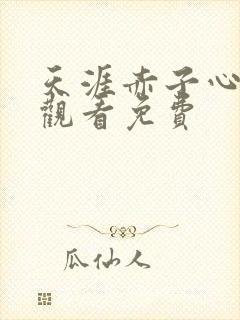 天涯赤子心在线观看免费