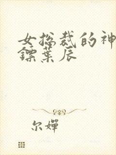 女总裁的神级保镖叶辰封面