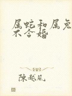 属蛇和属兔的合不合婚