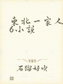 东北一家人1一6小说