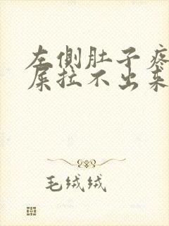 左侧肚子疼想拉屎拉不出来怎么回事封面