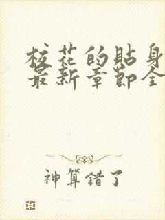 校花的贴身高手最新章节全文免费阅读封面