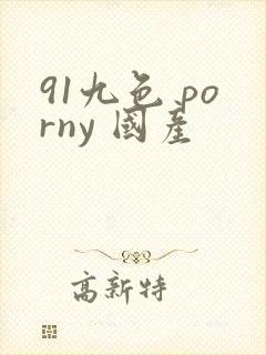 91九色 porny 国产