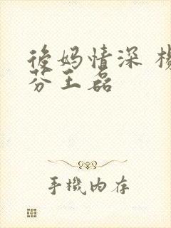 后妈情深 杨晓芬王磊封面