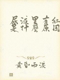 尿液里有红色血是什么原因