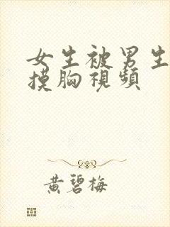 女生被男生亲吻摸胸视频