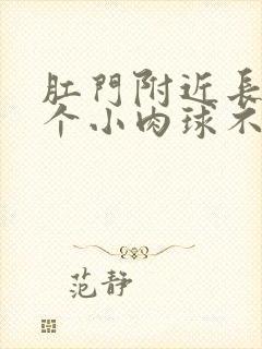 肛门附近长了一个小肉球不痛不痒