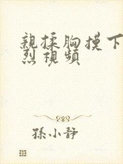 亲揉胸摸下面激烈视频