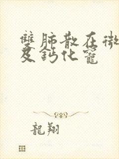 双肺散在微结节及钙化灶