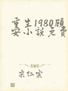 重生1980顾安小说免费阅读最新章节