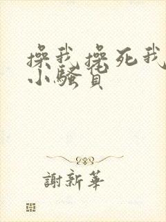 操我操死我操死小骚货